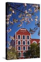 Blossom and Historic Crown Mills Building, Dunedin, Otago, South Island, New Zealand-David Wall-Stretched Canvas