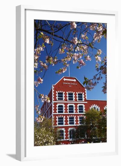 Blossom and Historic Crown Mills Building, Dunedin, Otago, South Island, New Zealand-David Wall-Framed Photographic Print