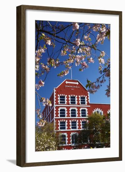 Blossom and Historic Crown Mills Building, Dunedin, Otago, South Island, New Zealand-David Wall-Framed Photographic Print