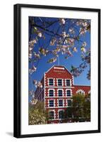 Blossom and Historic Crown Mills Building, Dunedin, Otago, South Island, New Zealand-David Wall-Framed Photographic Print