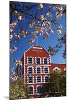 Blossom and Historic Crown Mills Building, Dunedin, Otago, South Island, New Zealand-David Wall-Mounted Photographic Print