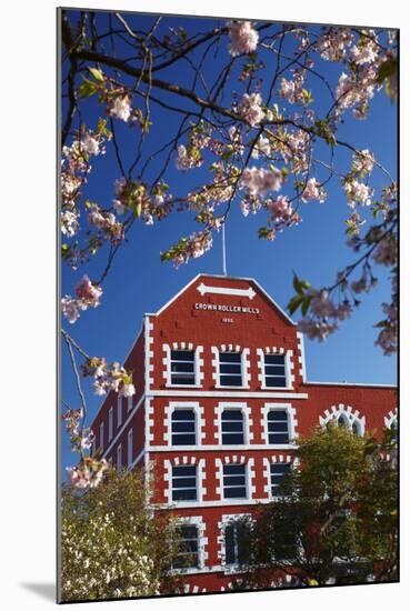 Blossom and Historic Crown Mills Building, Dunedin, Otago, South Island, New Zealand-David Wall-Mounted Photographic Print