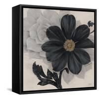 Blossom and Succulent Black-Ivo Stoyanov-Framed Stretched Canvas