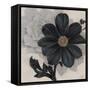 Blossom and Succulent Black-Ivo Stoyanov-Framed Stretched Canvas