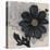 Blossom and Succulent Black-Ivo Stoyanov-Stretched Canvas