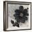 Blossom and Succulent Black-Ivo Stoyanov-Framed Art Print