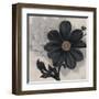 Blossom and Succulent Black-Ivo Stoyanov-Framed Art Print