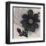 Blossom and Succulent Black-Ivo Stoyanov-Framed Art Print