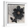 Blossom and Succulent Black-Ivo Stoyanov-Framed Art Print