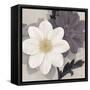 Blossom and Succulent White-Ivo Stoyanov-Framed Stretched Canvas