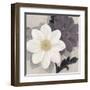 Blossom and Succulent White-Ivo Stoyanov-Framed Art Print