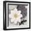 Blossom and Succulent White-Ivo Stoyanov-Framed Art Print