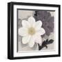 Blossom and Succulent White-Ivo Stoyanov-Framed Art Print