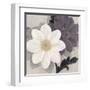 Blossom and Succulent White-Ivo Stoyanov-Framed Art Print