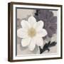 Blossom and Succulent White-Ivo Stoyanov-Framed Art Print