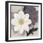 Blossom and Succulent White-Ivo Stoyanov-Framed Art Print