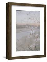 Blossom at Sunset-null-Framed Photographic Print