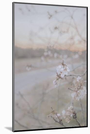 Blossom at Sunset-null-Mounted Photographic Print