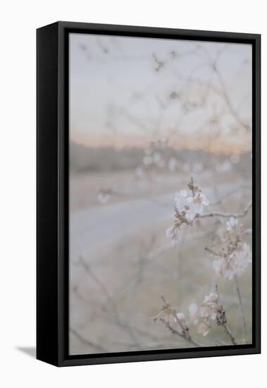 Blossom at Sunset-null-Framed Stretched Canvas