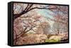 Blossom Beauty I-Kathy Mansfield-Framed Stretched Canvas