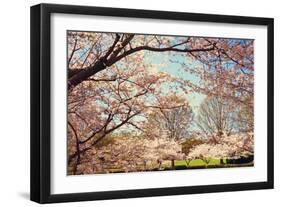 Blossom Beauty I-Kathy Mansfield-Framed Photographic Print