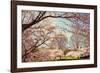 Blossom Beauty I-Kathy Mansfield-Framed Photographic Print