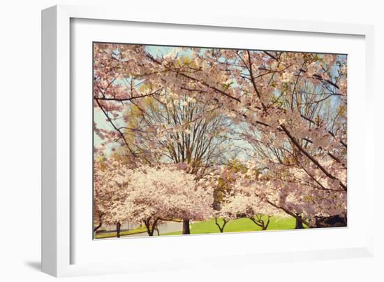 Blossom Beauty II-Kathy Mansfield-Framed Photographic Print