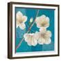 Blossom Bough-Jurgen Gottschlag-Framed Art Print