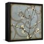 Blossom Branch II-Jennifer Goldberger-Framed Stretched Canvas