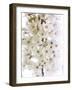 Blossom Bundle-Assaf Frank-Framed Giclee Print