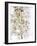 Blossom Bundle-Assaf Frank-Framed Giclee Print