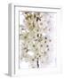 Blossom Bundle-Assaf Frank-Framed Giclee Print