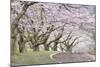 Blossom Hill-James Gordon-Mounted Giclee Print