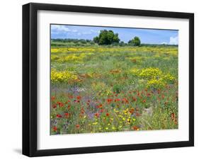 Blossom in a Field, Siena Province, Tuscany, Italy-Nico Tondini-Framed Premium Photographic Print