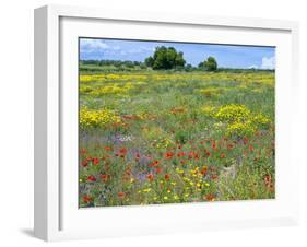 Blossom in a Field, Siena Province, Tuscany, Italy-Nico Tondini-Framed Premium Photographic Print
