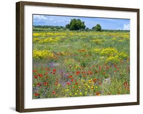 Blossom in a Field, Siena Province, Tuscany, Italy-Nico Tondini-Framed Photographic Print