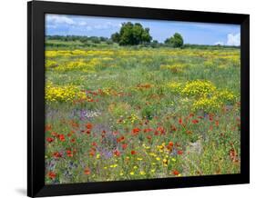 Blossom in a Field, Siena Province, Tuscany, Italy-Nico Tondini-Framed Photographic Print