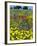 Blossom in a Field, Siena Province, Tuscany, Italy-Nico Tondini-Framed Photographic Print