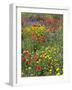 Blossom in a Field, Siena Province, Tuscany, Italy-Nico Tondini-Framed Photographic Print