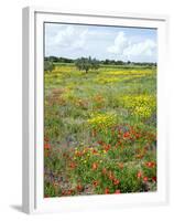 Blossom in a Field, Siena Province, Tuscany, Italy-Nico Tondini-Framed Premium Photographic Print