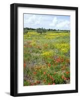 Blossom in a Field, Siena Province, Tuscany, Italy-Nico Tondini-Framed Photographic Print