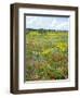 Blossom in a Field, Siena Province, Tuscany, Italy-Nico Tondini-Framed Photographic Print