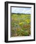 Blossom in a Field, Siena Province, Tuscany, Italy-Nico Tondini-Framed Photographic Print