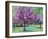 Blossom In The Park-Sylvia Paul-Framed Giclee Print