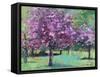 Blossom In The Park-Sylvia Paul-Framed Stretched Canvas