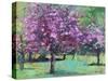 Blossom In The Park-Sylvia Paul-Stretched Canvas