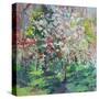 Blossom in the Wood-Sylvia Paul-Stretched Canvas
