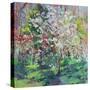 Blossom in the Wood-Sylvia Paul-Stretched Canvas