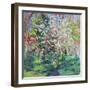 Blossom in the Wood-Sylvia Paul-Framed Giclee Print