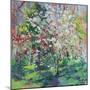 Blossom in the Wood-Sylvia Paul-Mounted Giclee Print